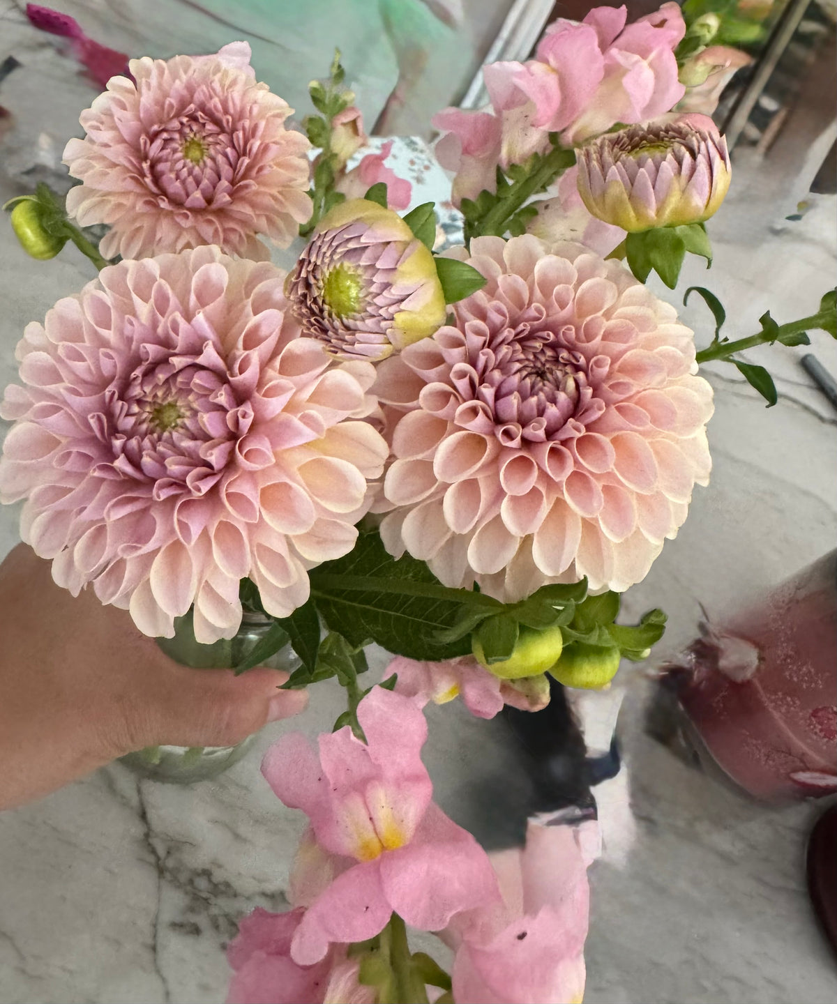 KA's® Cinder Rose